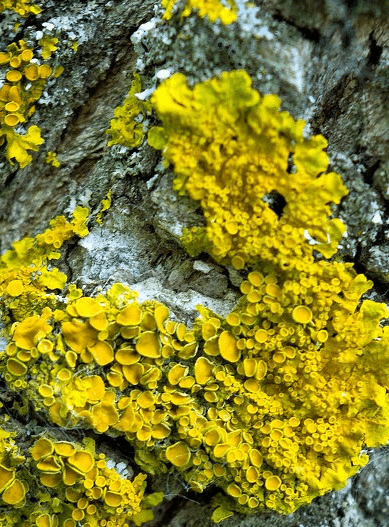 Решение рисунок 3