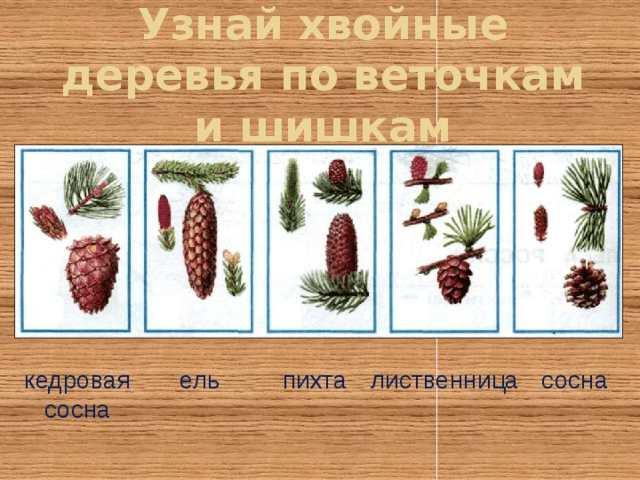 Решение рисунок 1