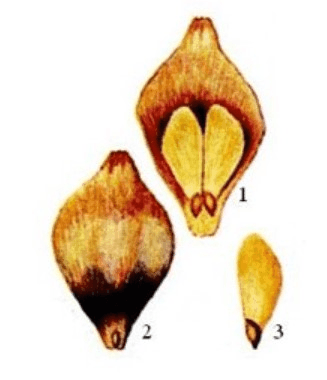 Решение рисунок 2
