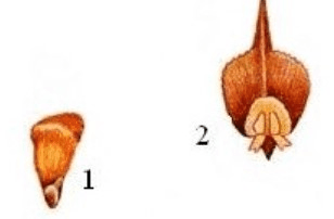 Решение рисунок 5