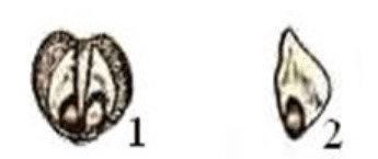 Решение рисунок 4