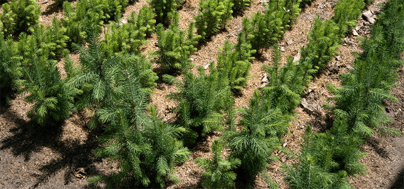 Решение рисунок 3