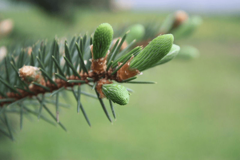 Решение рисунок 2