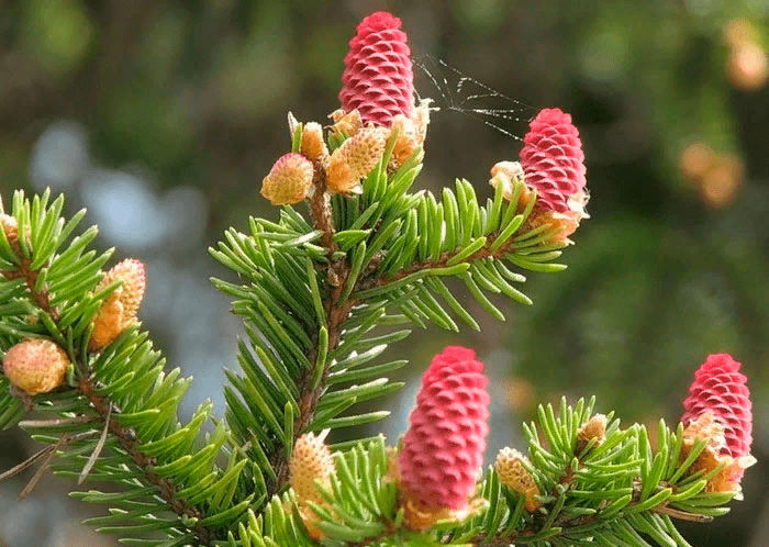 Решение рисунок 1