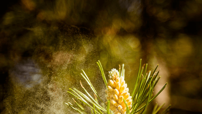 Решение рисунок 2