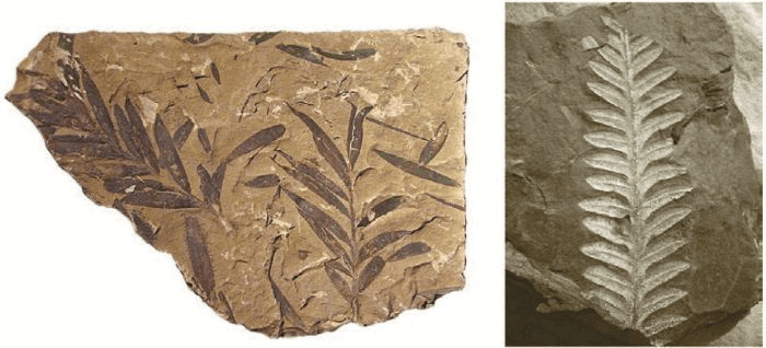 Решение рисунок 1