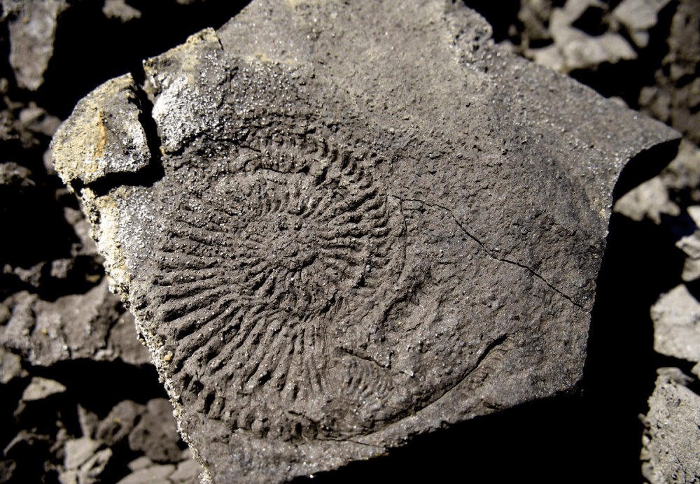 Решение рисунок 2