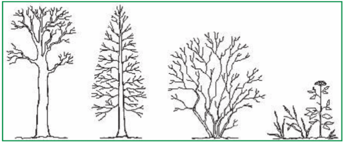 Задание рисунок 1