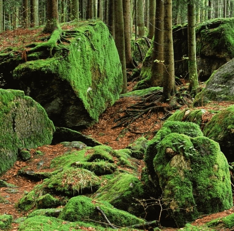 Решение рисунок 7