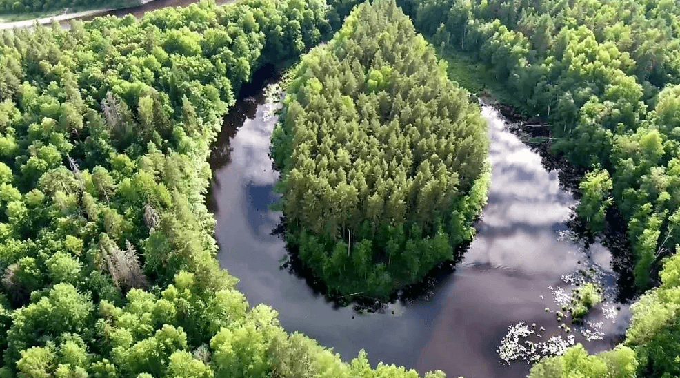 Решение рисунок 1