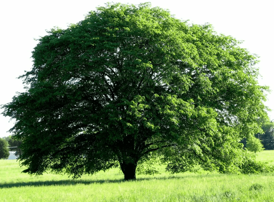 Решение рисунок 4