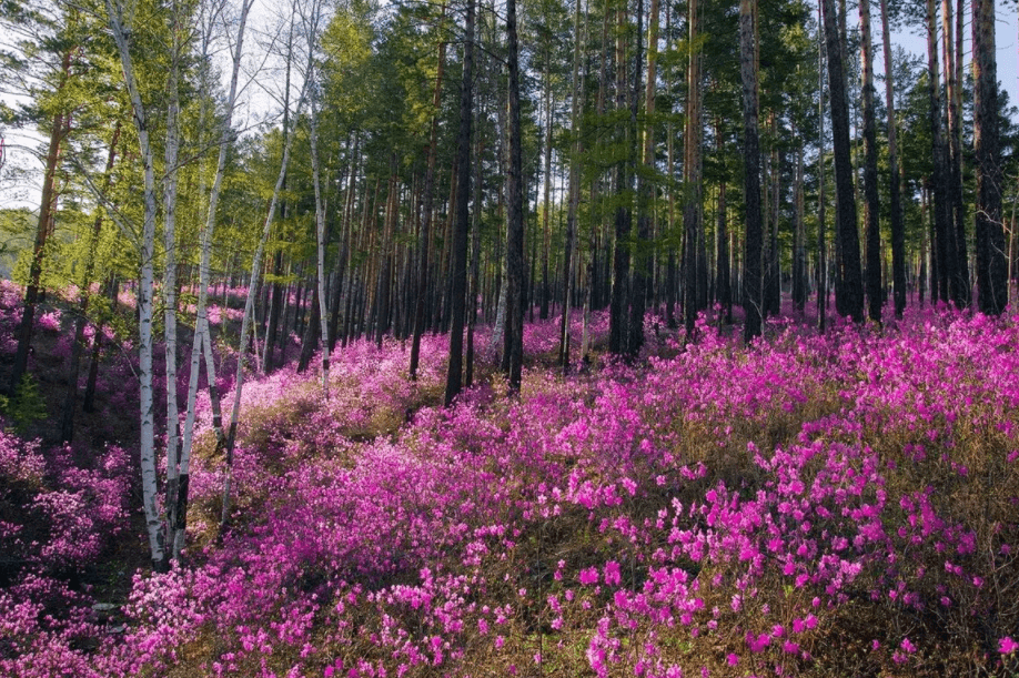 Решение рисунок 6