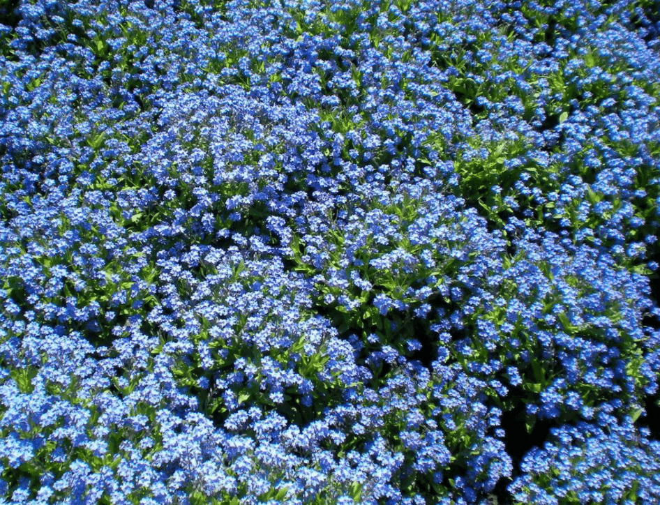 Решение рисунок 8