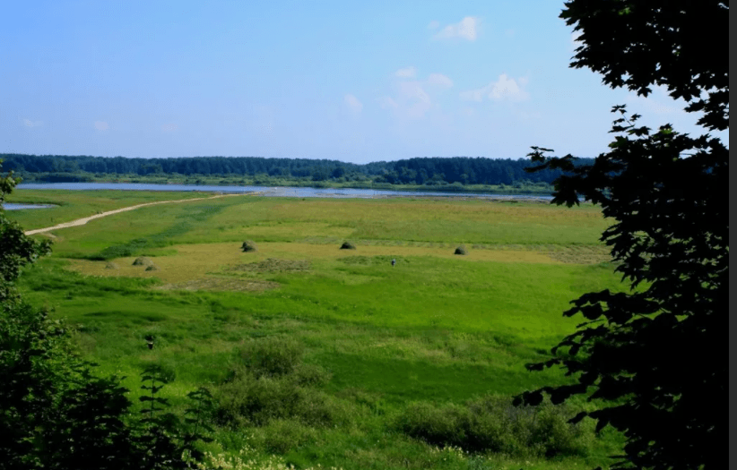 Решение рисунок 9