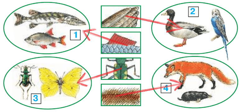 Решение рисунок 1