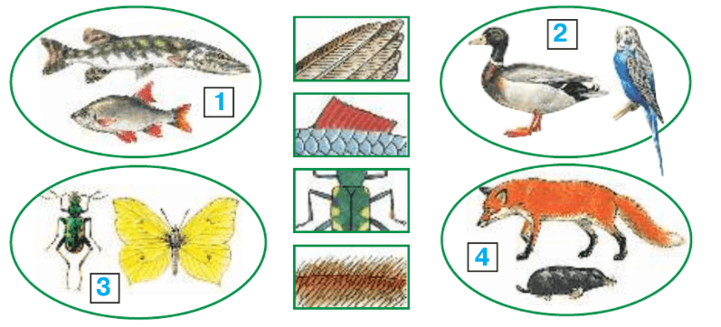 Задание рисунок 1