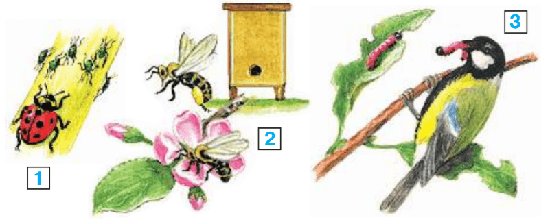 Задание рисунок 1