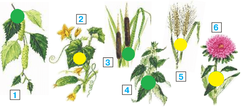 Решение рисунок 1