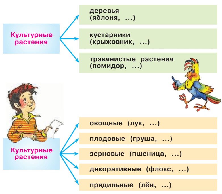 Задание рисунок 1