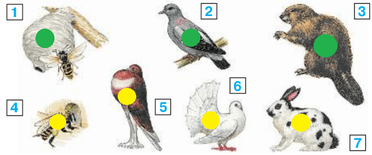 Решение рисунок 1