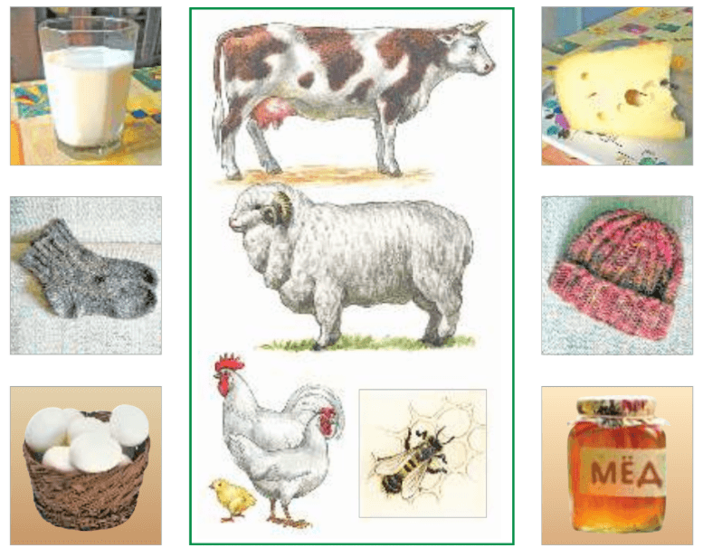 Задание рисунок 1