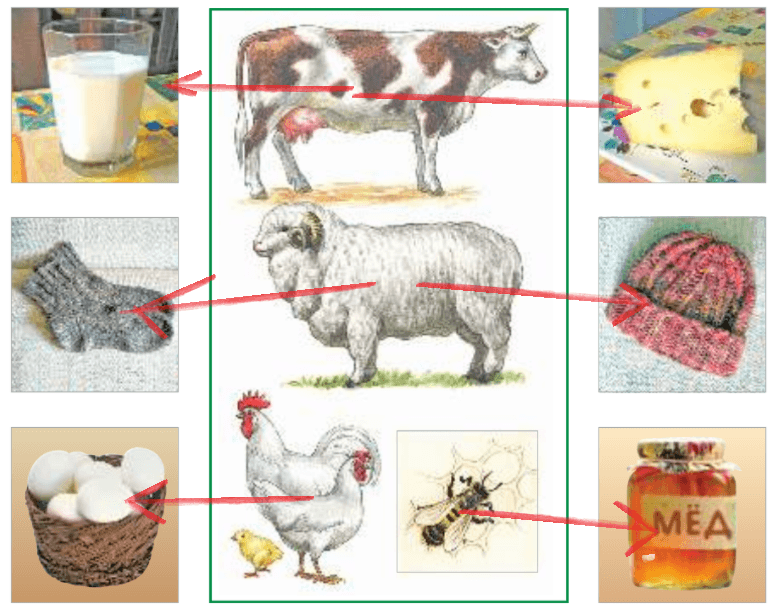 Решение рисунок 1