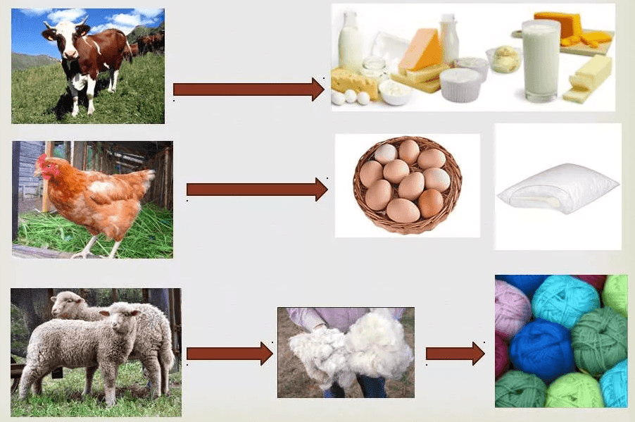 Решение рисунок 1