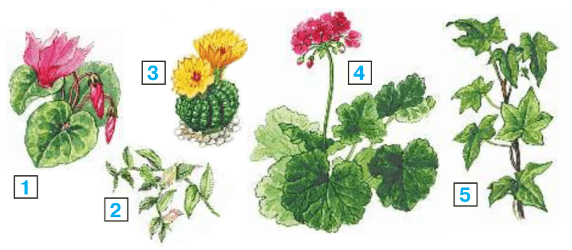 Задание рисунок 1