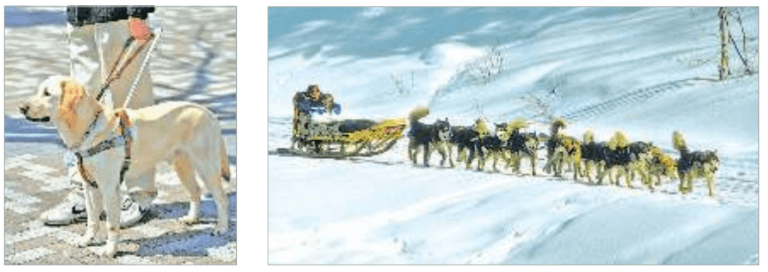 Задание рисунок 1