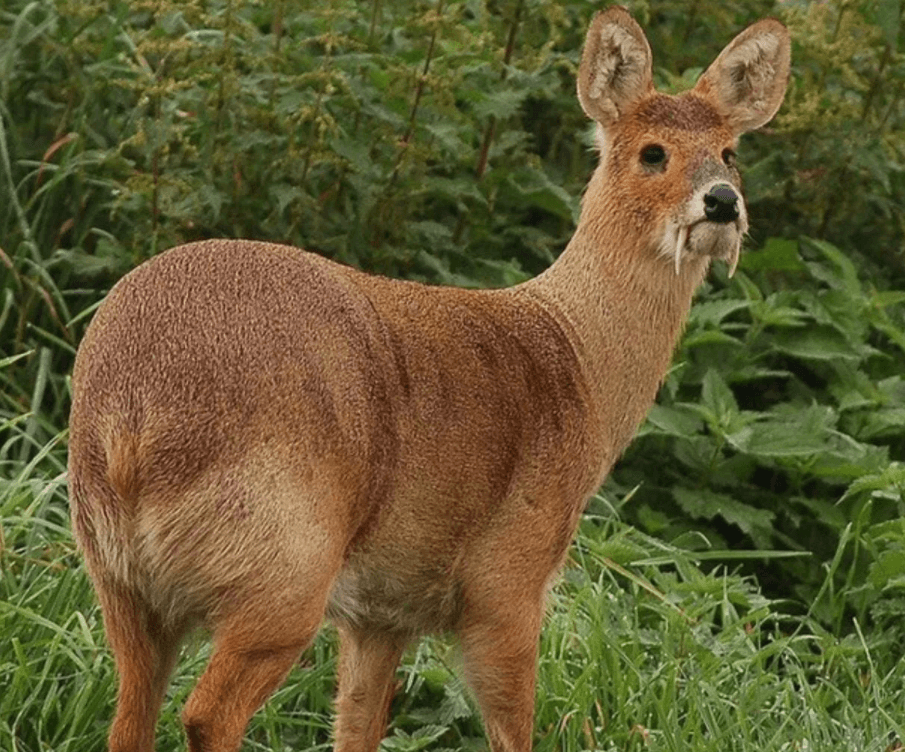 Решение рисунок 1