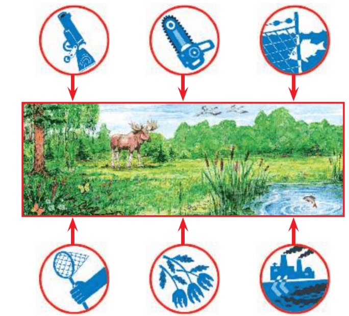 Задание рисунок 1