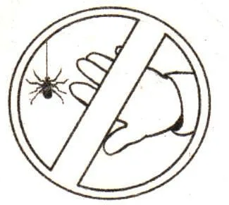 Решение рисунок 3