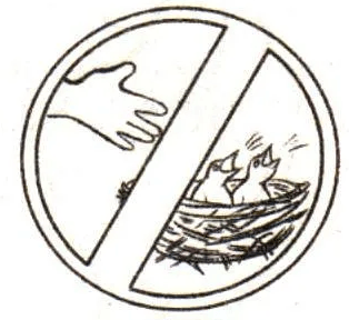 Решение рисунок 4