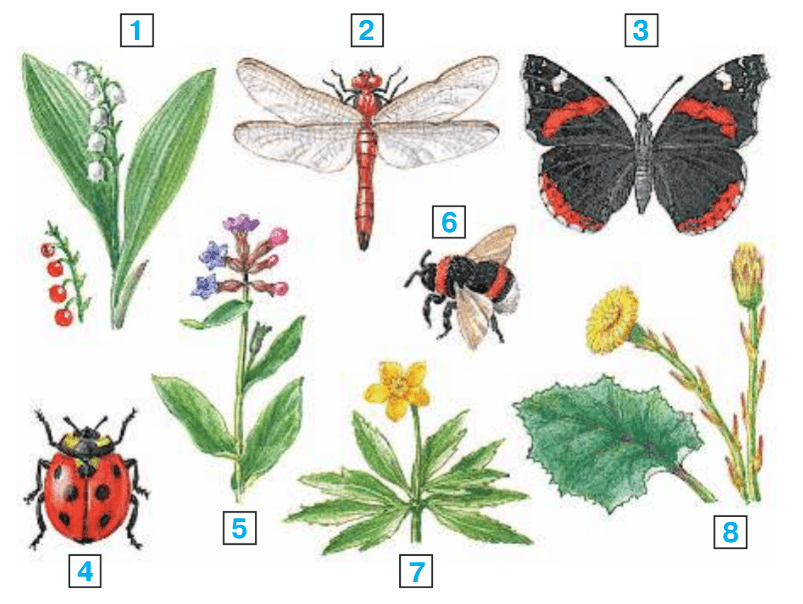 Задание рисунок 1