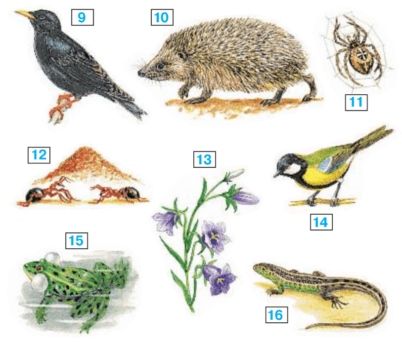 Задание рисунок 2