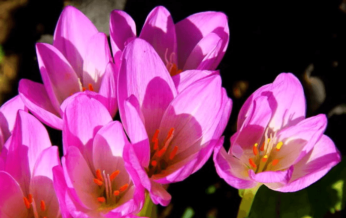 Решение рисунок 1