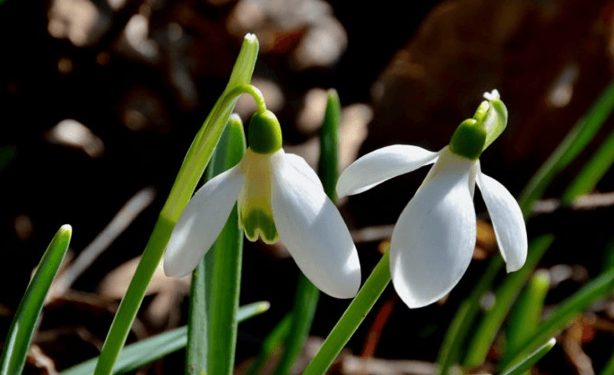 Решение рисунок 2