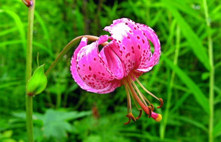 Решение рисунок 3