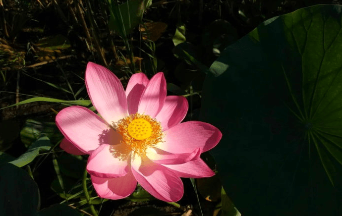 Решение рисунок 4