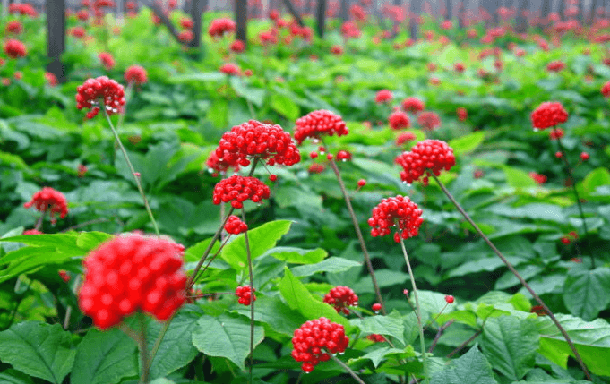 Решение рисунок 5