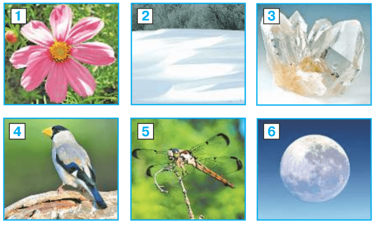 Задание рисунок 1