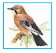 Задание рисунок 1