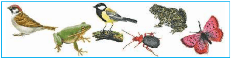 Задание рисунок 1