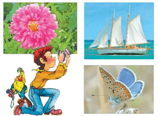 Задание рисунок 1