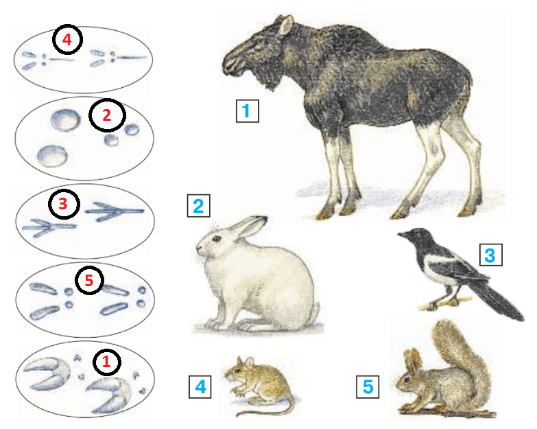 Решение рисунок 1