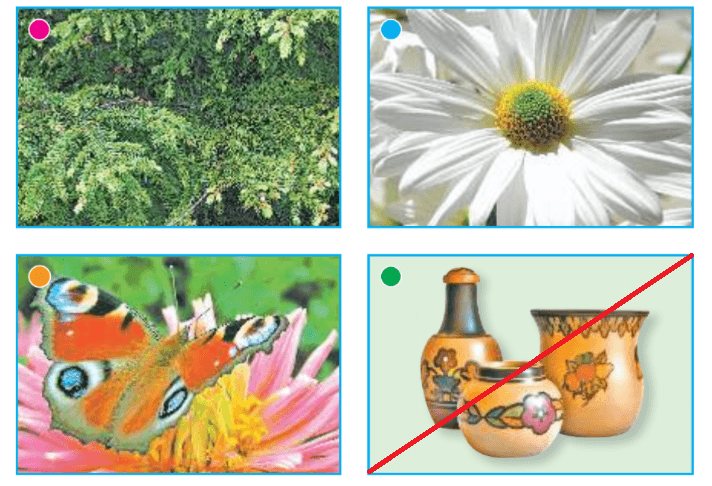 Решение рисунок 1