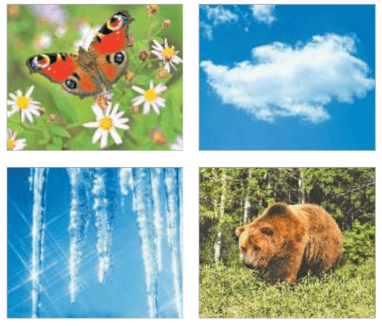 Задание рисунок 2