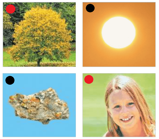 Решение рисунок 1