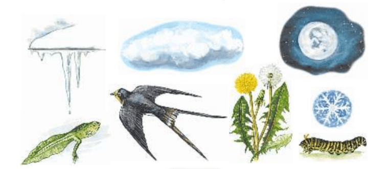 Задание рисунок 1