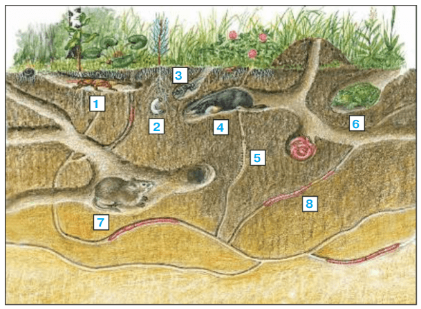 Задание рисунок 1